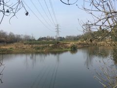 -桤木河湿地公园