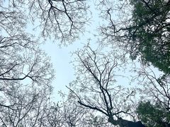 -茅家埠