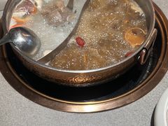 -菌自在·云南野生菌火锅(长安万达店)