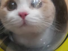 -多杰宠物医院(祈福店)