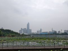 -月湖风景区