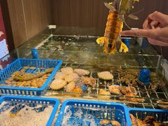 -潮澎派·潮汕菜大排档(南较西路店)
