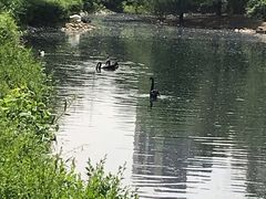 -长白岛森林公园