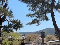 -醍醐寺
