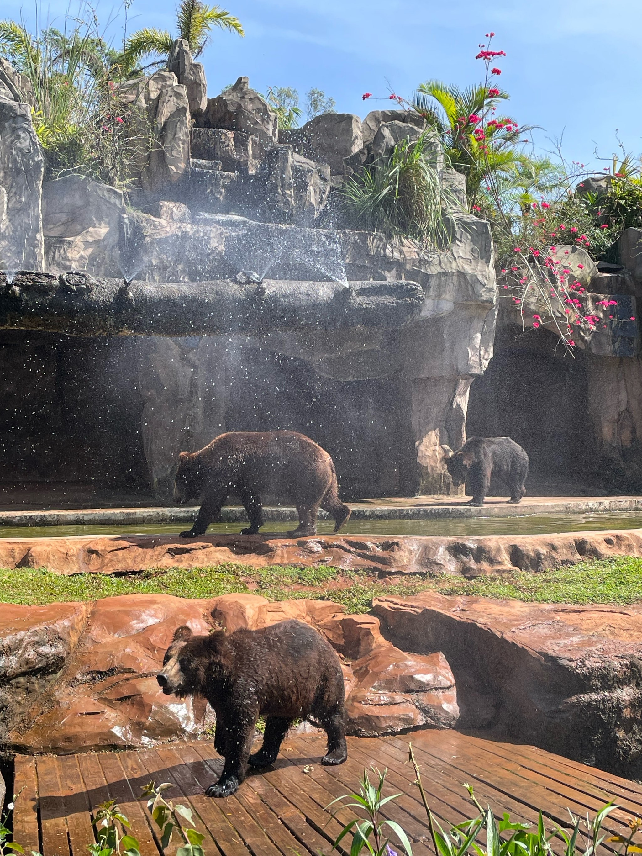 海南热带野生动植物园