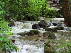 -莫里热带雨林景区