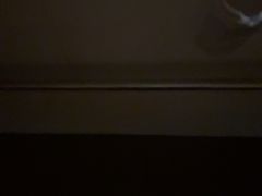 -巢爷老味(东方红店)