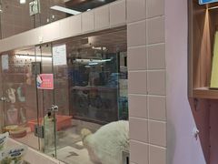 -FAELING PETS美天灵宠物(富力广场店)