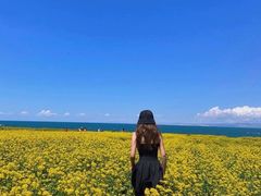 -青海湖国家重点风景名胜区