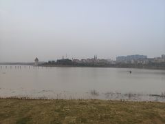 -九龙湖公园