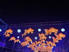 -海合安成都极地海洋公园