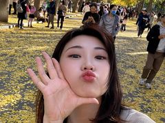 -三里屯东五街银杏大道