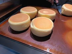 -狐狸和向日葵(北京路店)