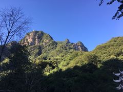 -陕西省红河谷森林公园