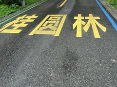 -张坝桂圆林公园