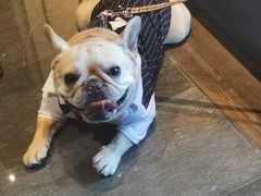 -唐御宴•御宴宫•唐代菜点(芙蓉西路店)