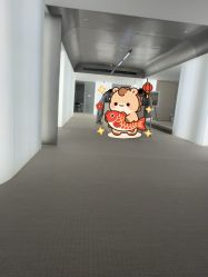 点击看大图 -BR光电保养
