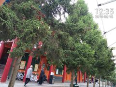 -西宁市东关清真大寺