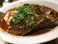 红烧罗非鱼-明仕那里稻里畈堂