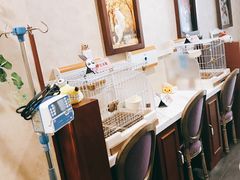 -宠爱国际动物医院· 猫科· 外科·中兽医(长白店)