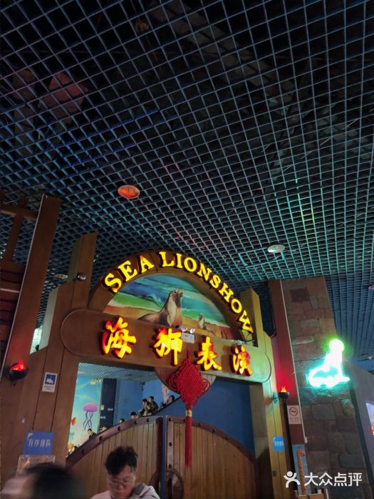 太平洋海底世界图片