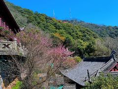 -韬光茶庵