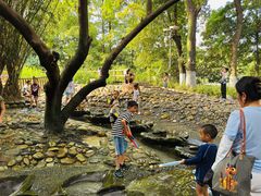 -成都市活水公园