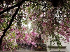 -深圳国际园林花卉博览园