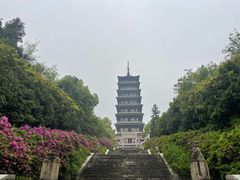 -宜兴龙背山森林公园