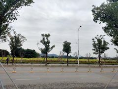 -光明小镇欢乐田园