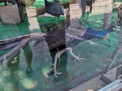 -陕西自然博物馆