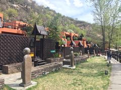 -Local泰莲庭(虹鳟鱼店)