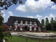 -金山农民画村-枫泾波兰倒置屋