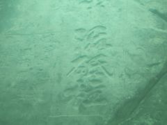 -白鹤梁水下博物馆