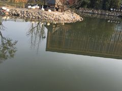-田园东方蜜桃村的田野营地