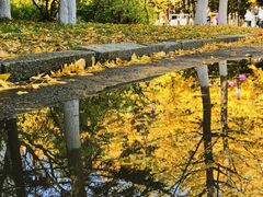 -辽东学院(南校区)