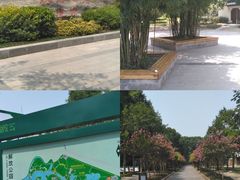 景点-解放公园