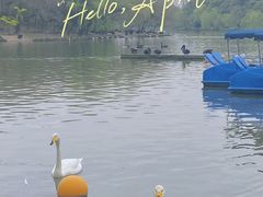 -上海野生动物园