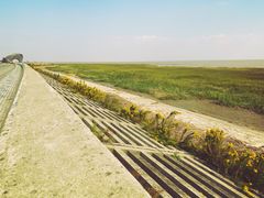 -南汇嘴观海公园