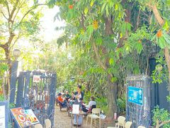 -Fern Forest Cafe