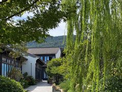 -春色如许·茶食餐厅(桃李春风店)