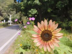 -三块石国家森林公园
