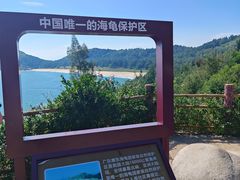 -广东惠东海龟国家级自然保护区