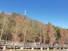 -白水寺森林公园