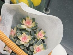 -循礼门鲜花花市(武汉循礼门店)