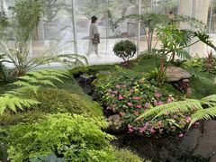 -罗红摄影艺术馆