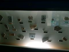 -上海昆虫博物馆