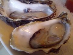 -Oyster Talks 四度蚝法餐厅