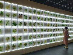 -广东中医药博物馆