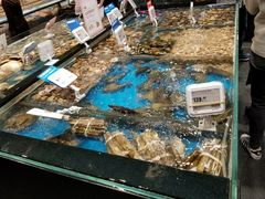 -盒马鲜生(皇庭广场店)